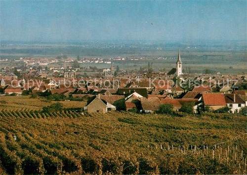 Maikammer panorama deutsche - maikammer,