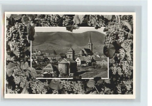 Maikammer alsterweiler - ,