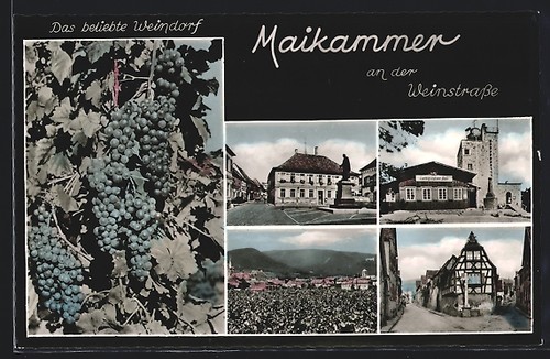 Maikammer der - maikammer,