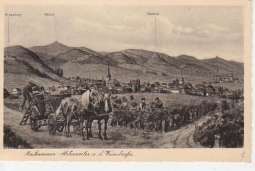 Maikammer-Alsterweiler