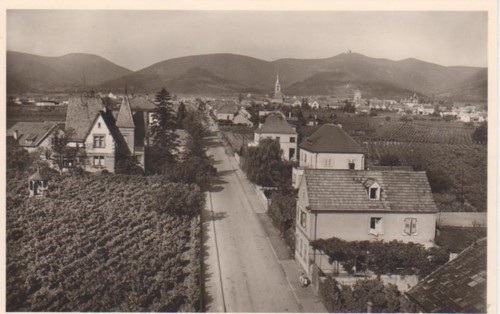 Maikammer-Alsterweiler