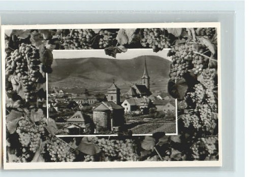 Alsterweiler maikammer - alsterweiler,