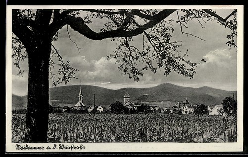 Maikammer d - maikammer, a.