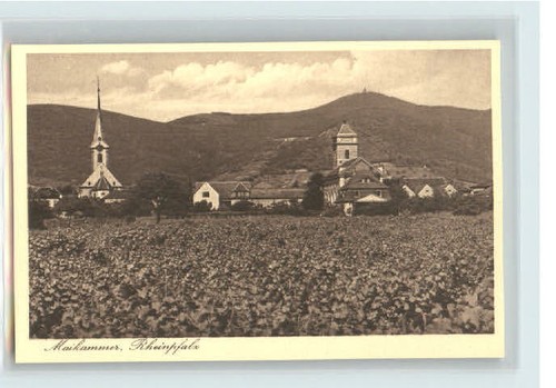 Maikammer ungelaufen 1920 - ca.,