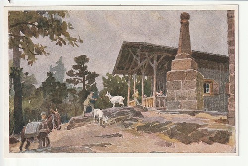Maikammer pfalz - ak,