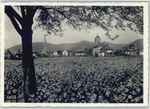 Maikammer